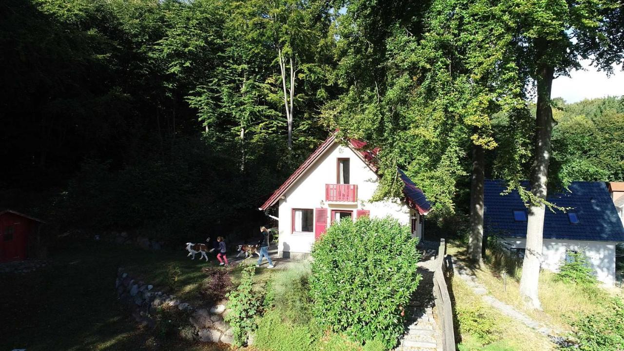 Villa Ferienhaus Rotkaeppchen à Sellin  Extérieur photo